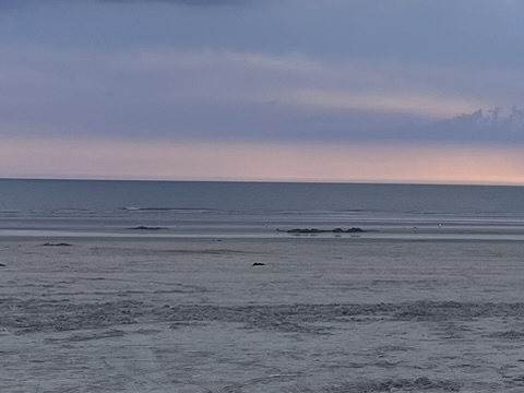 Sonnenuntergang auf der Insel Rømø
